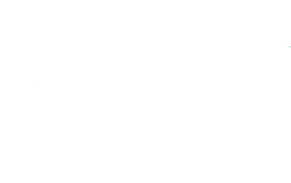 Nabi-logo